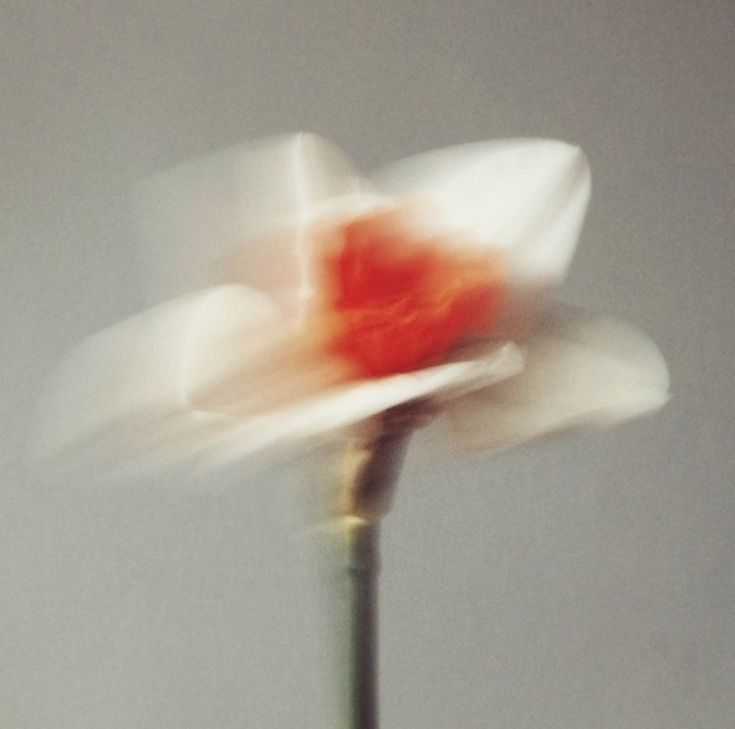 L'Art de L'Auto Massage