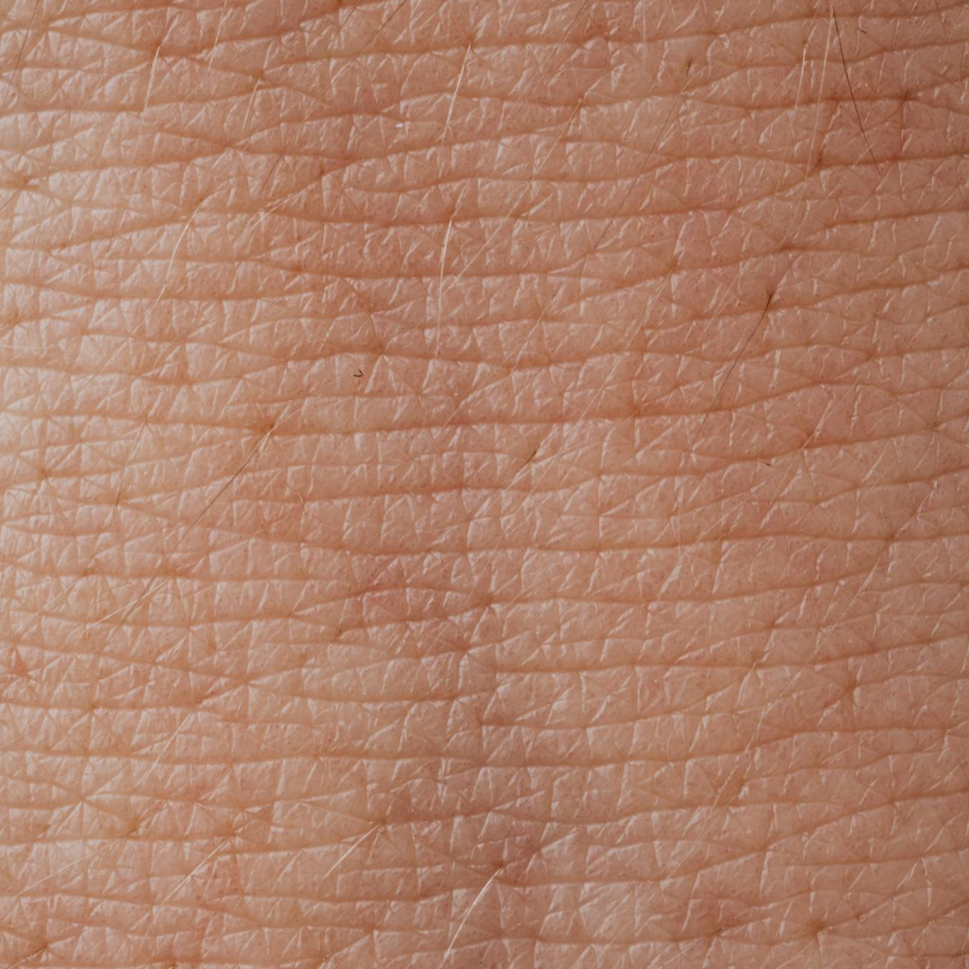 Image_peau
