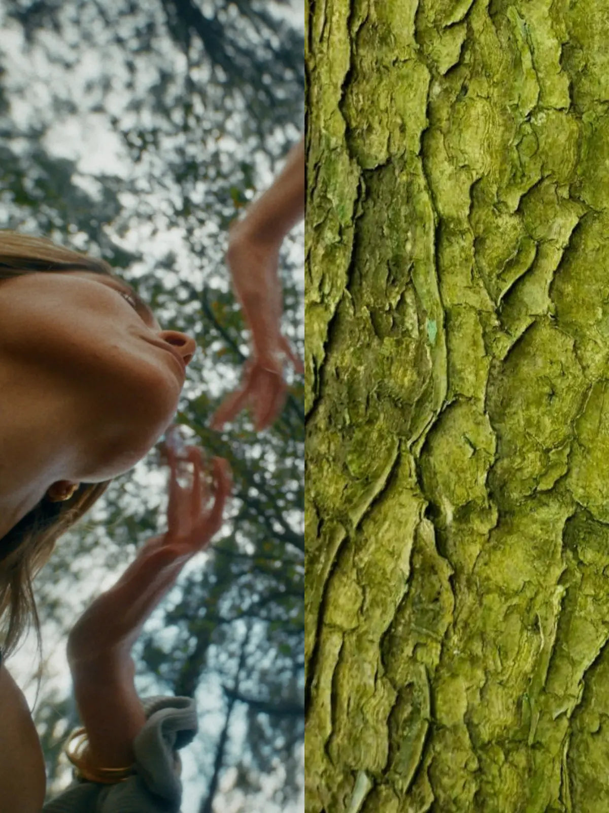 Deux images. Première image ou une femme masse une autre. Deuxième image est une image d'ambiance avec de l'écorce verte.